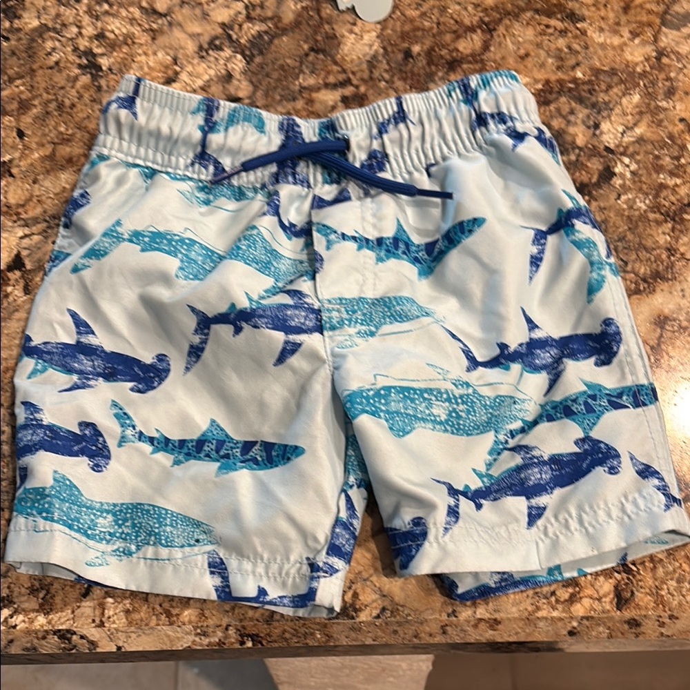 Carter's Blue Shark Print Kids Shorts